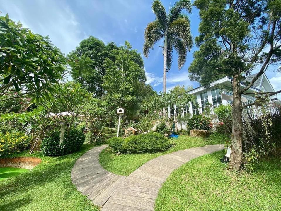 Baan Jaokorkluay บ้านเจ้ากอกล้วย Chiang Rai Esterno foto